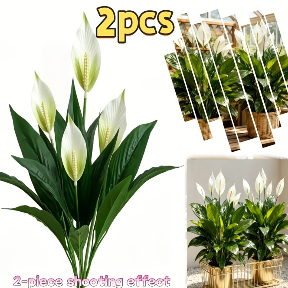 2 Piece High Quality Large Art - Peace Lily White 评论和价格